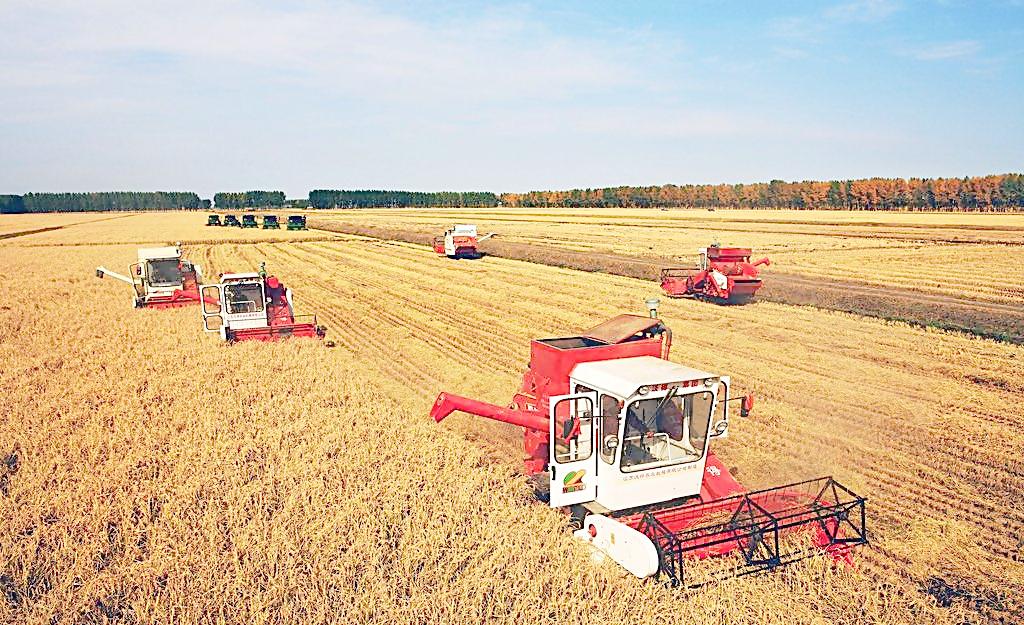 “互聯網+農業”是未來30年的最大金礦，創富機會別錯過！