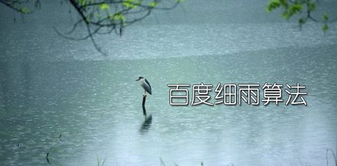 企業站遭百度“細雨算法”打擊后該怎么辦？